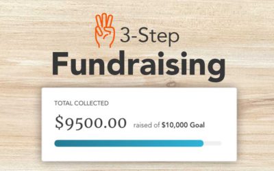 Online Fundraising in 3 Easy Steps + Example