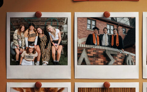 Fraternity visual data 8