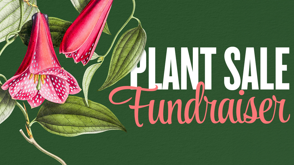 holiday-wreath-fundraiser