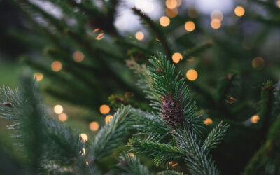 Top 20 Holiday Fundraisers for Schools That Are Easy, Festive, and Effective