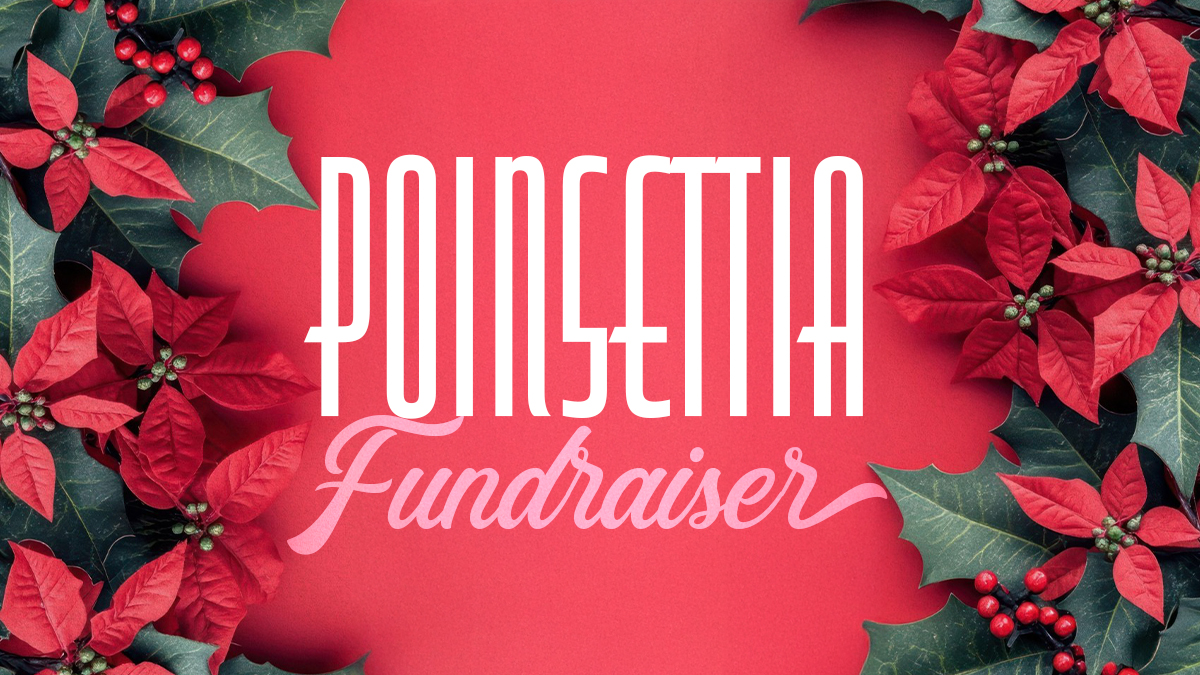 poinsettia-banner poinsettia-fundraiser-template